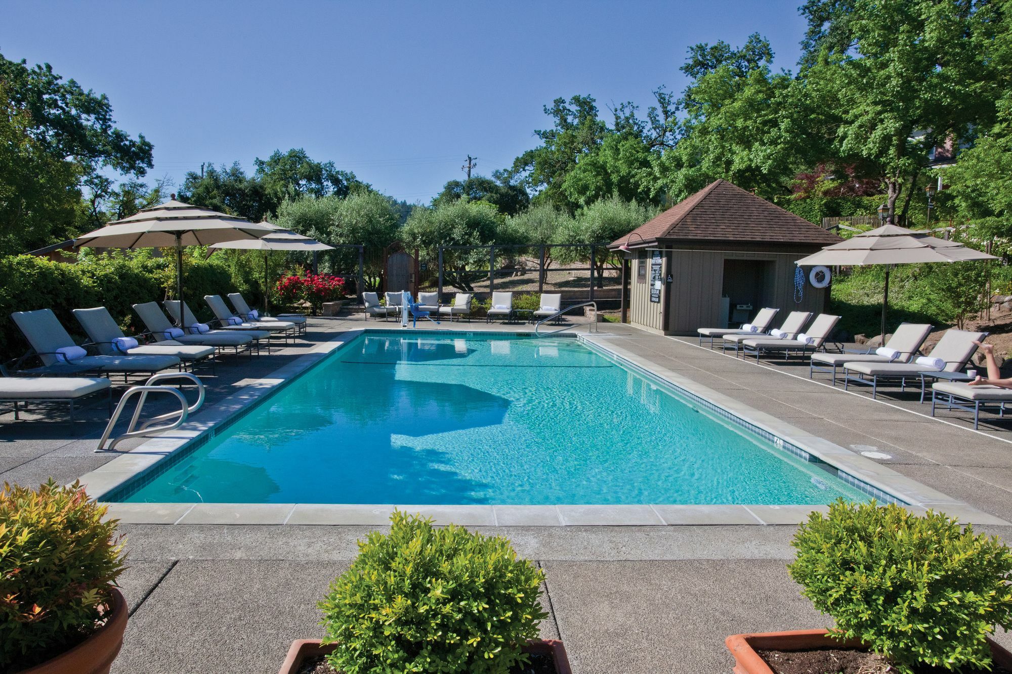 Wine Country Inn Napa Valley St. Helena Exterior foto